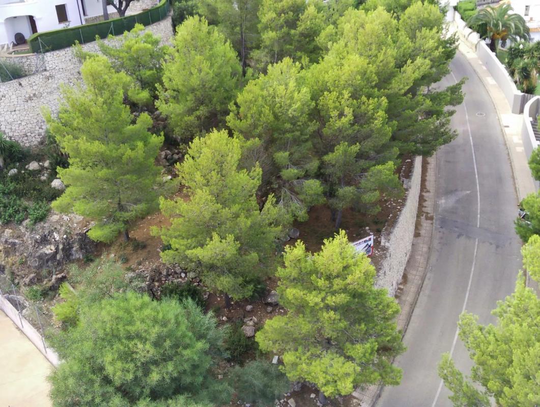 Terreno en venta en Denia, Alicante photo 4