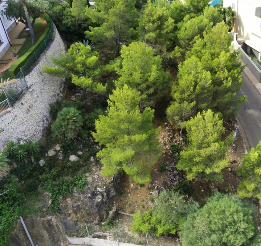 Terreno en venta en Denia, Alicante photo 5