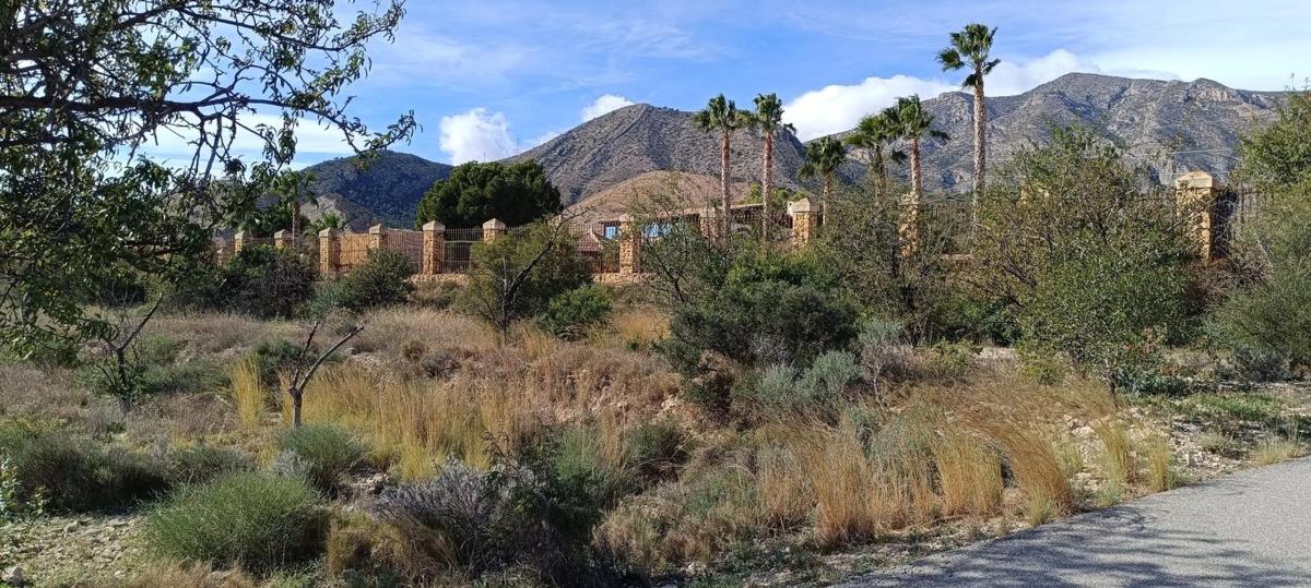 Land for sale in Aigües, Alicante photo 3