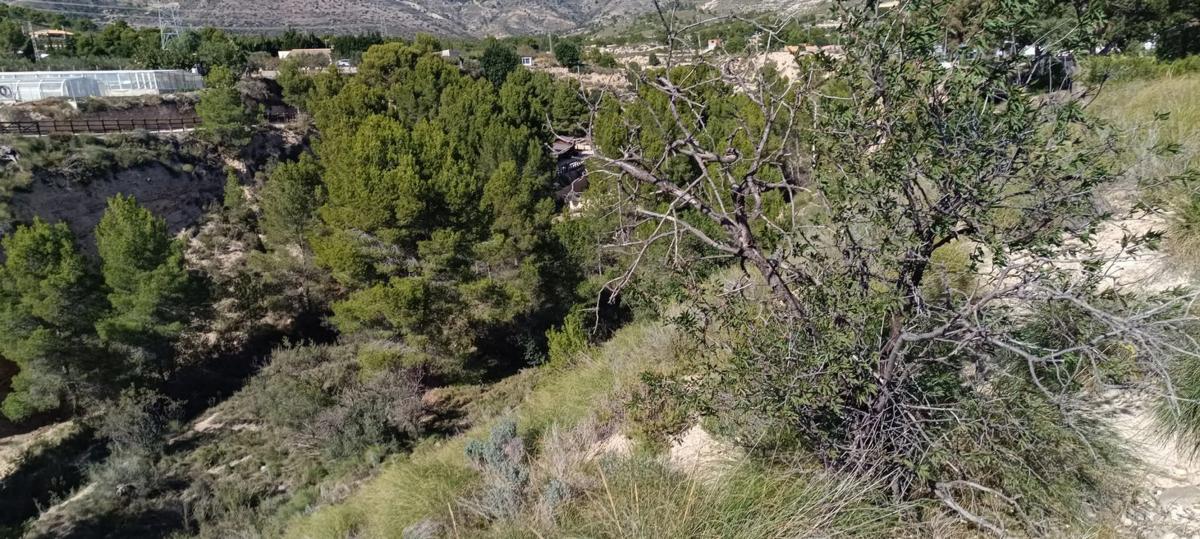 Land for sale in Aigües, Alicante photo 4