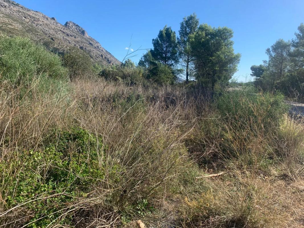 Terreno en venta en Benichembla, Alicante photo 1
