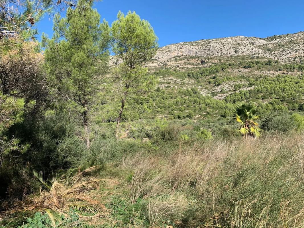 Terreno en venta en Benichembla, Alicante photo 2