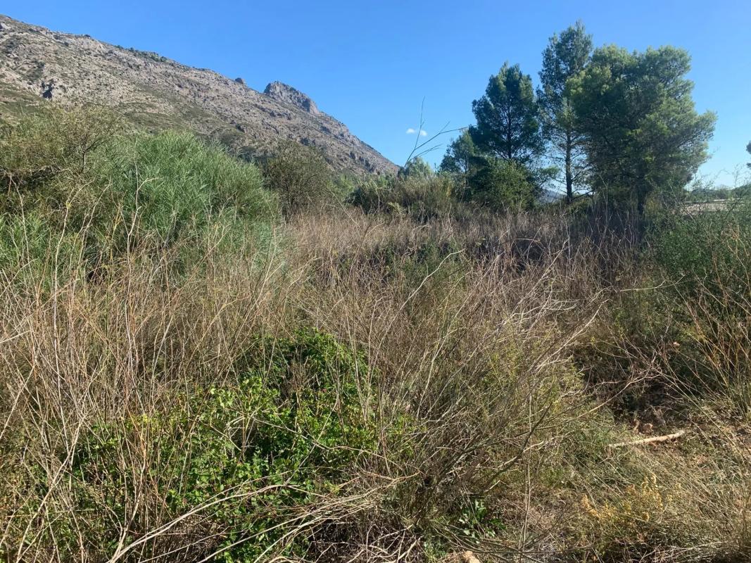 Terreno en venta en Benichembla, Alicante photo 3