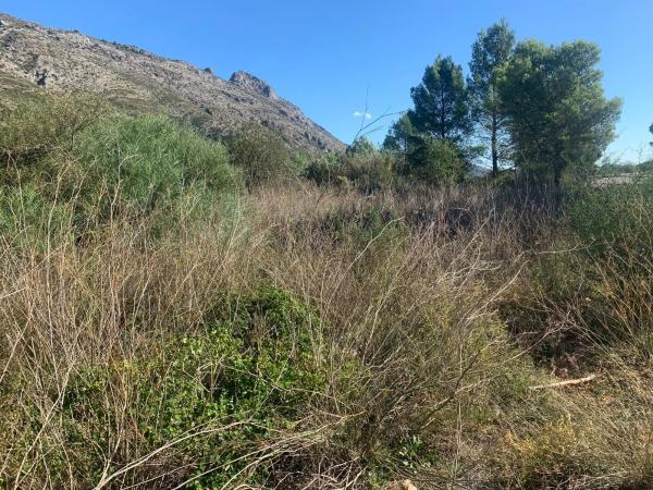 Terreno en cv720 photo 3
