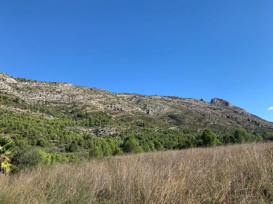 Terreno en venta en Benichembla, Alicante photo 4