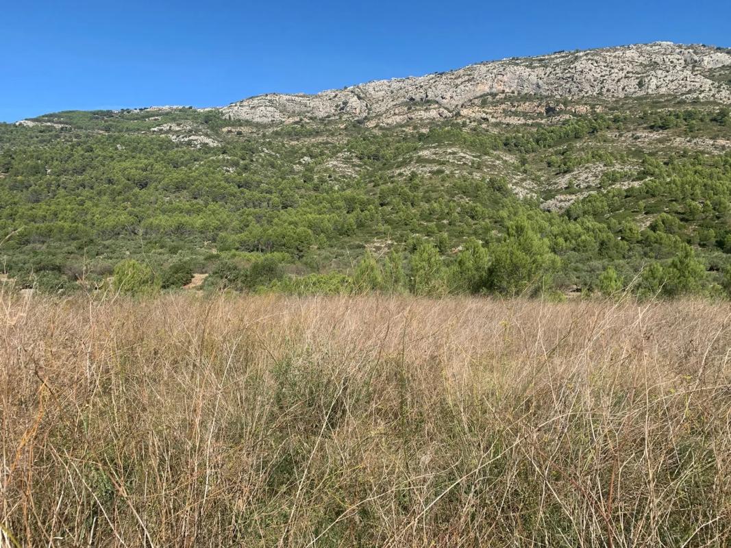 Terreno en venta en Benichembla, Alicante photo 5