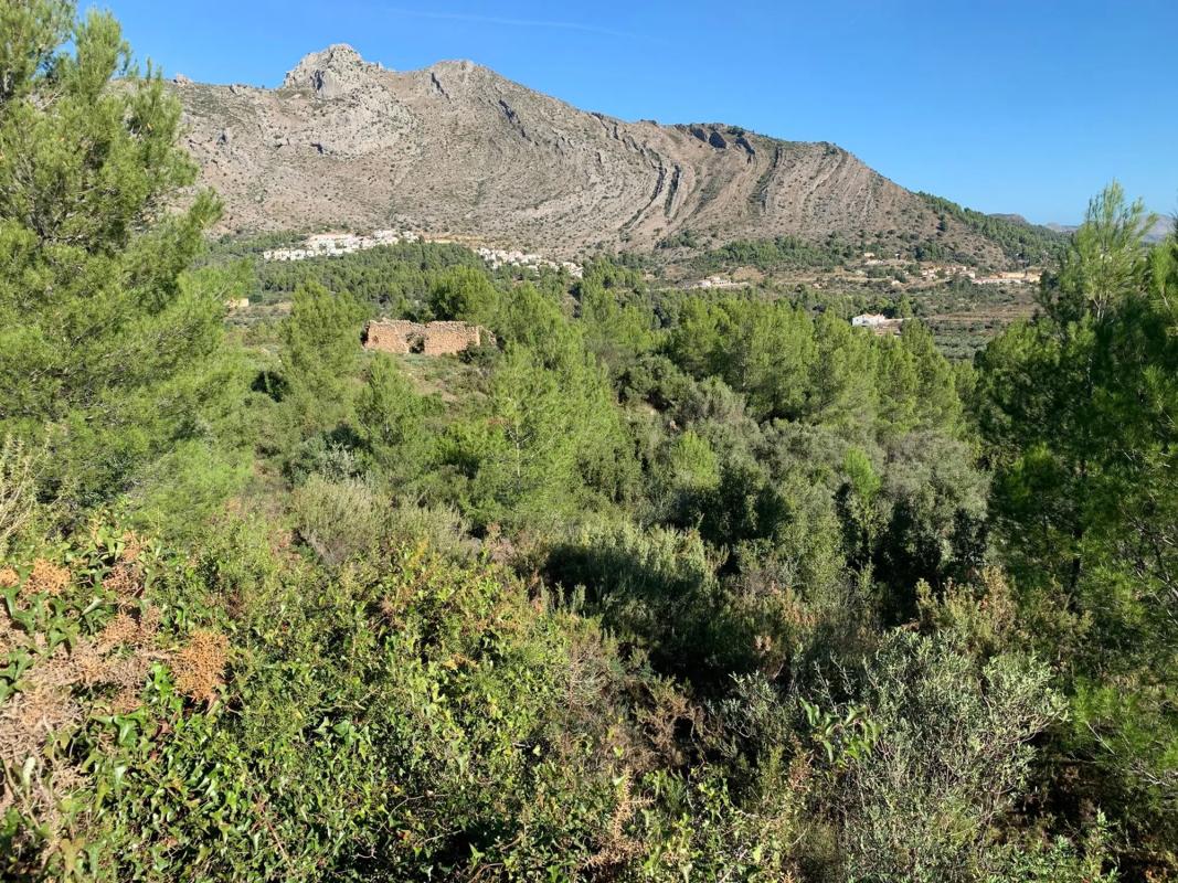 Działka na sprzedaż w Benichembla, Alicante photo 3