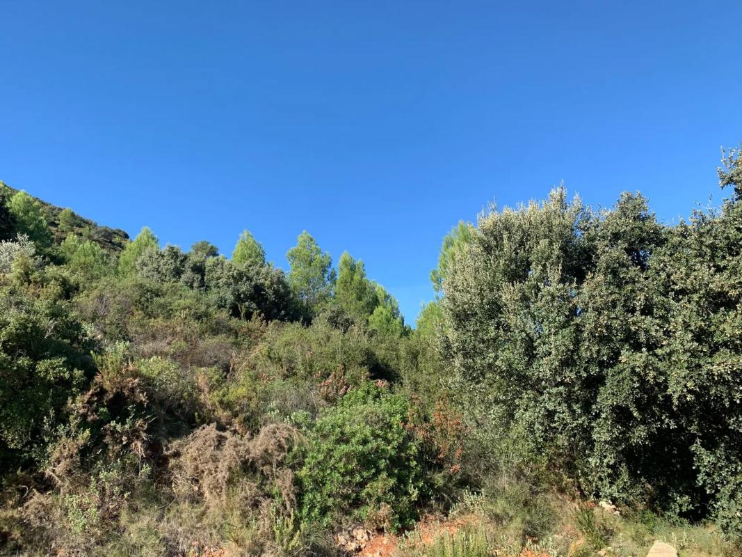 Działka na sprzedaż w Benichembla, Alicante photo 5