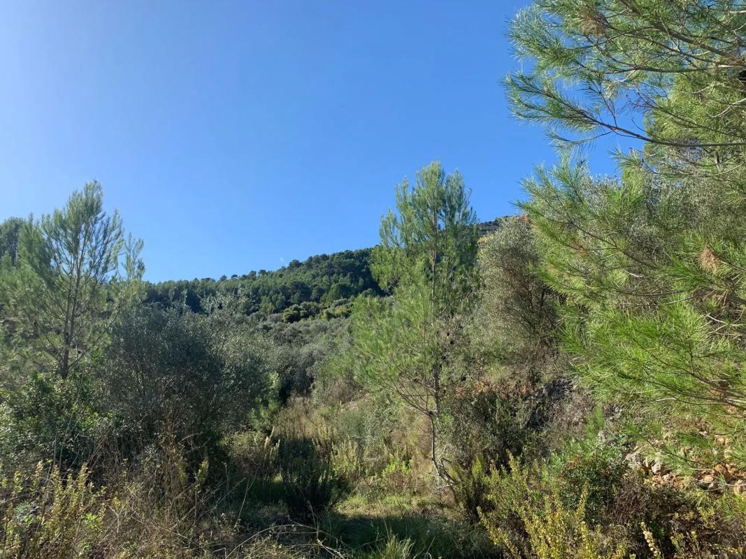 Terreno en venta en Benichembla, Alicante photo 2