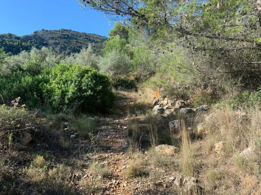 Terreno en venta en Benichembla, Alicante photo 4