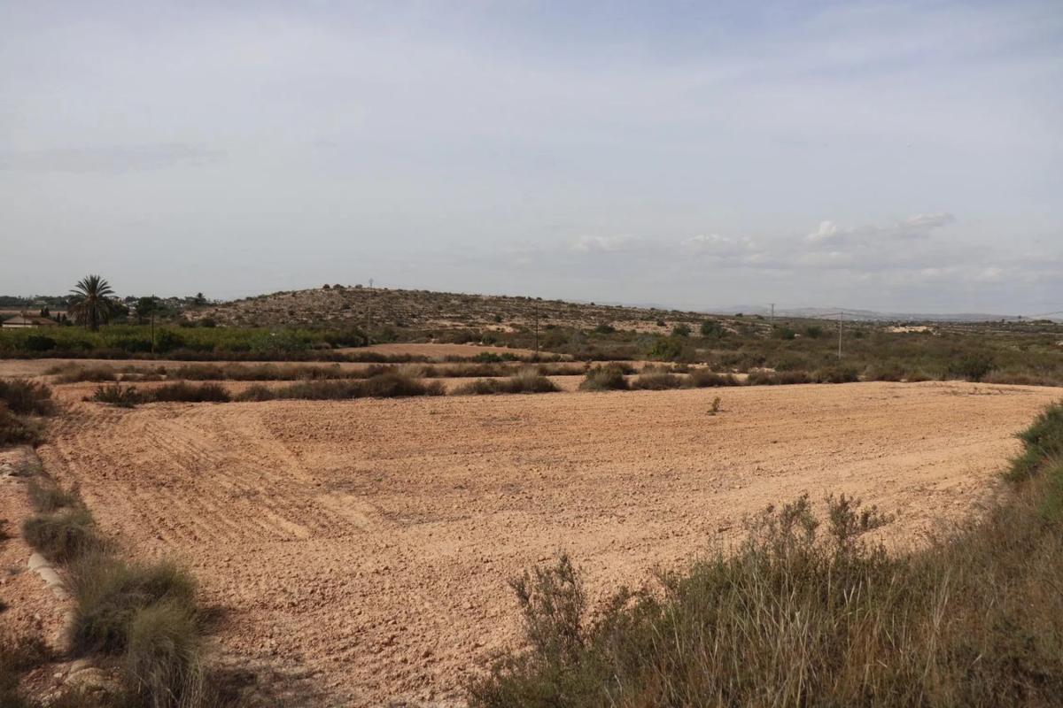Terreno en venta en Elche / Elx, Alicante photo 3