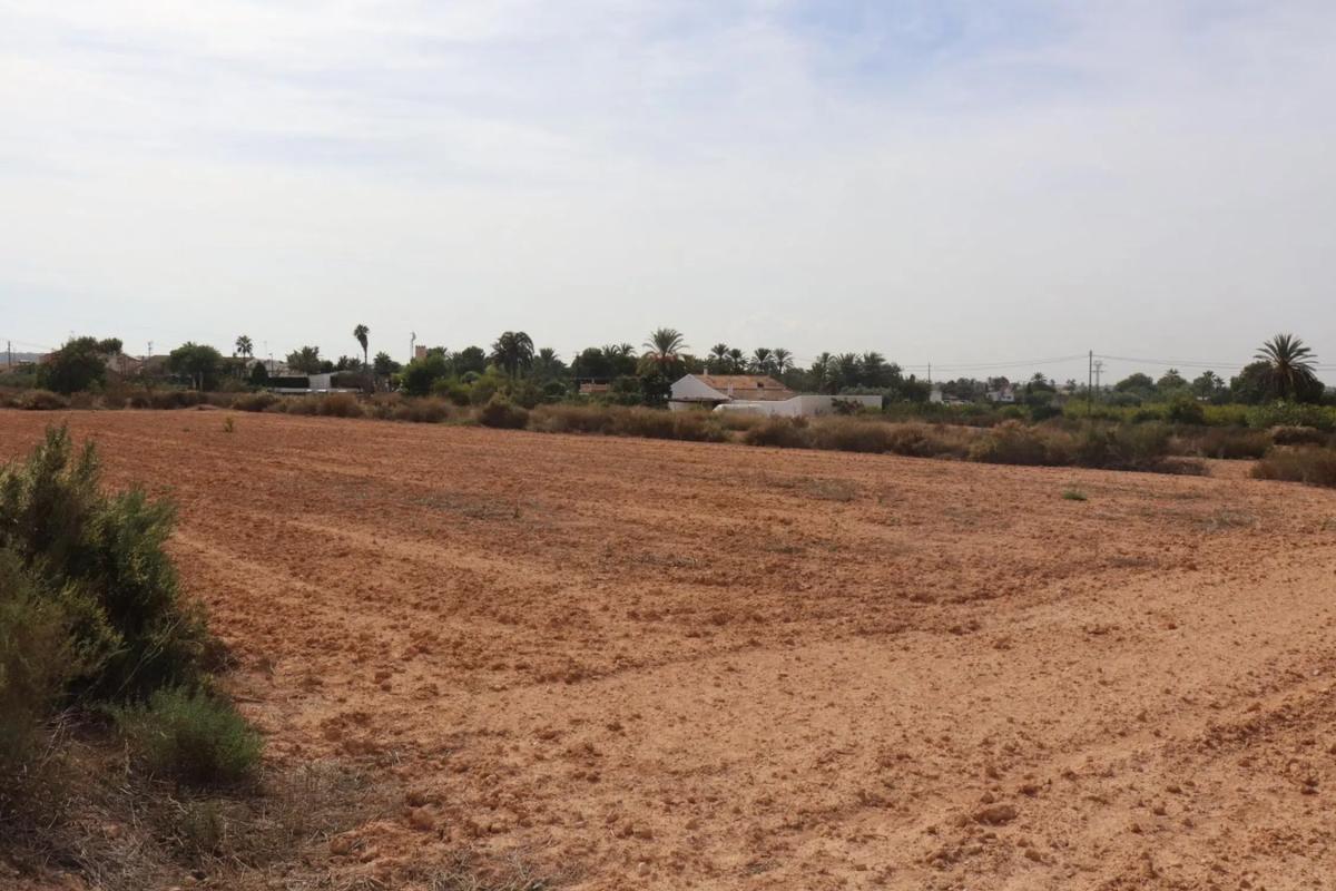 Terreno en venta en Elche / Elx, Alicante photo 4