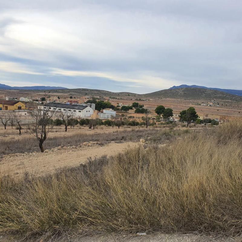 Terreno en venta en Pinoso, Alicante photo 4