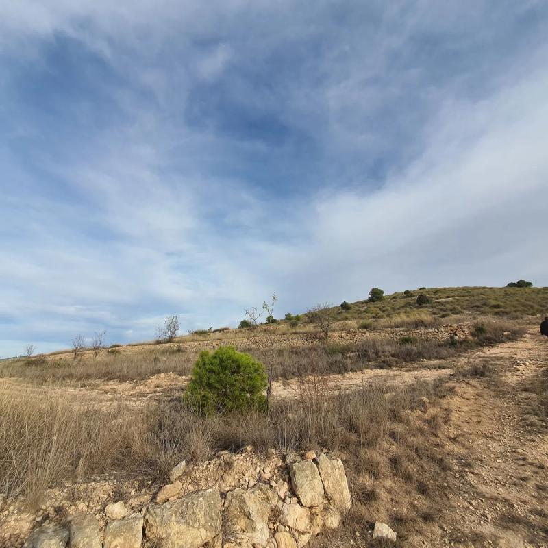 Terreno en venta en Pinoso, Alicante photo 5