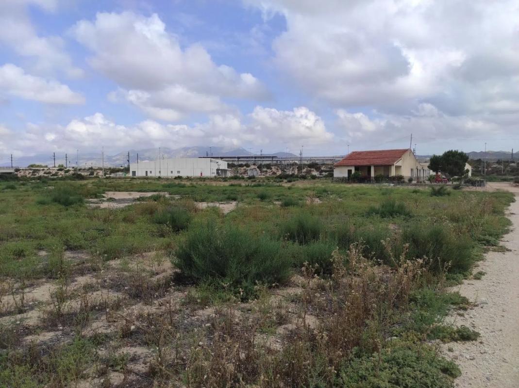 Działka na sprzedaż w Elche / Elx, Alicante photo 1