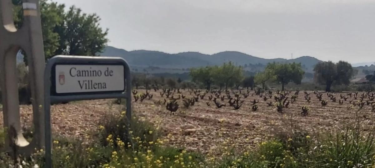 Działka na sprzedaż w Salinas, Alicante photo 3