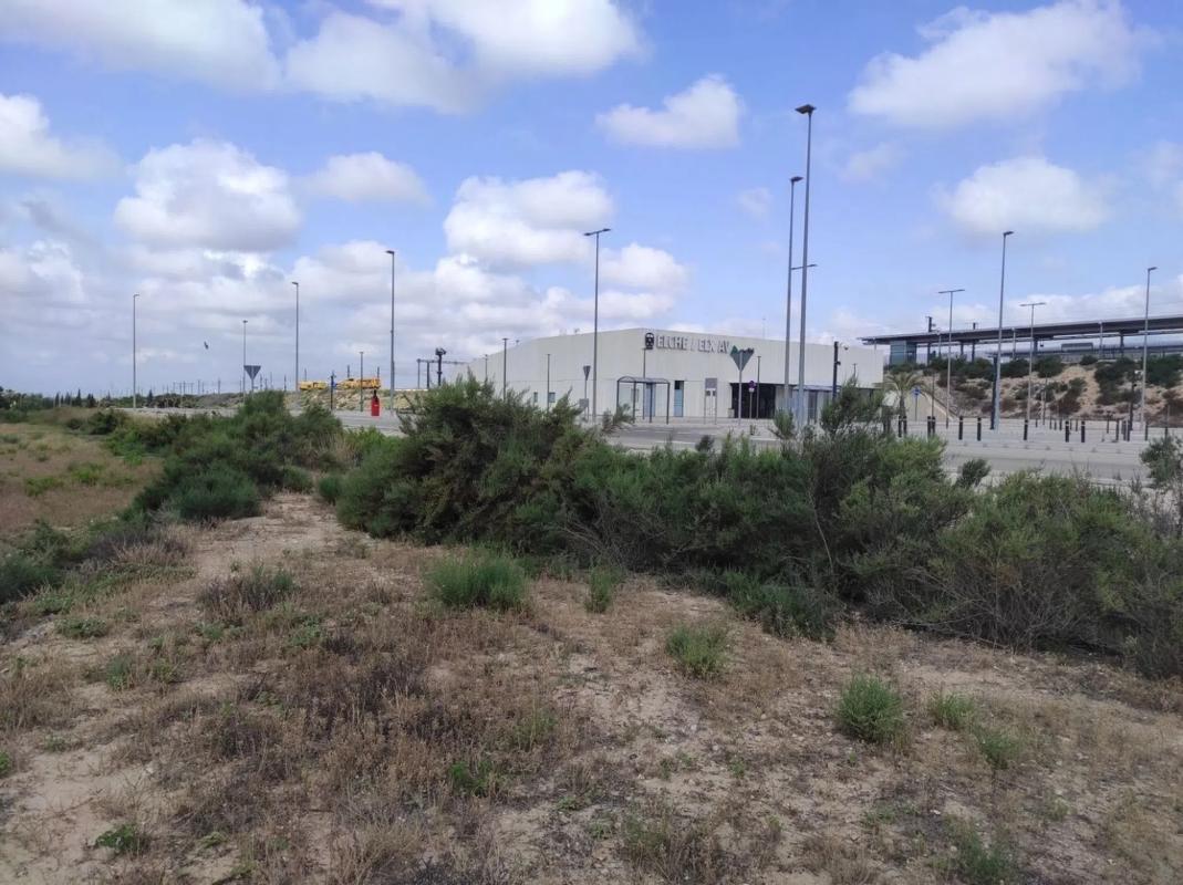Działka na sprzedaż w Elche / Elx, Alicante photo 2