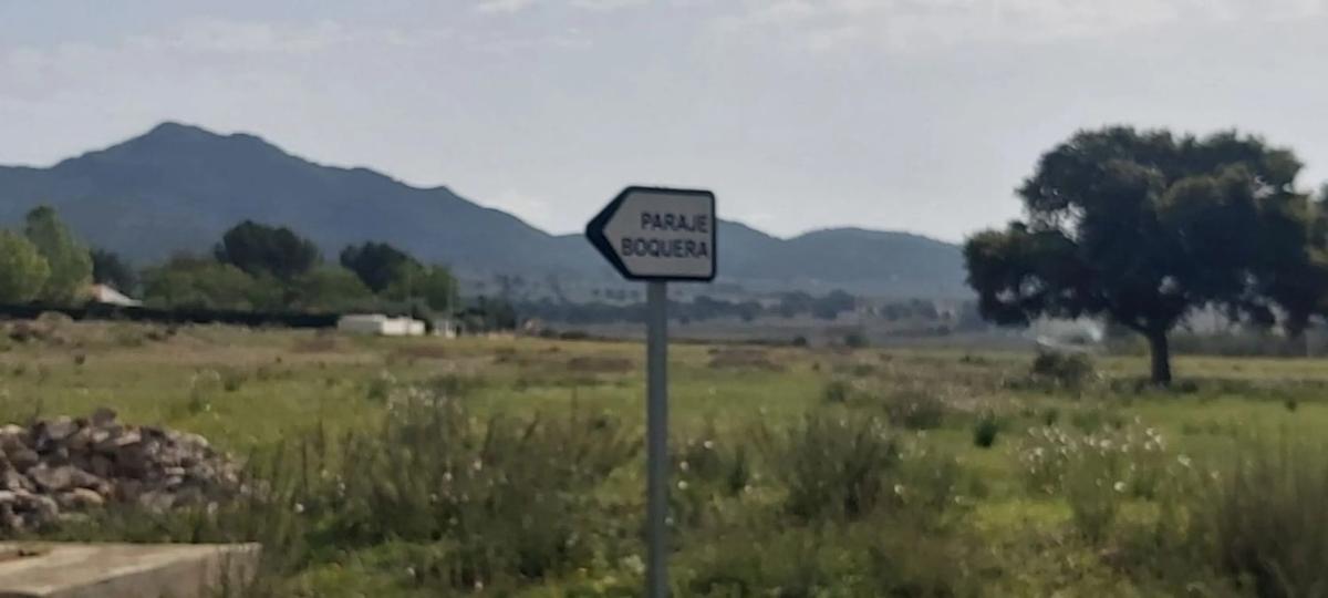Działka na sprzedaż w Salinas, Alicante photo 4
