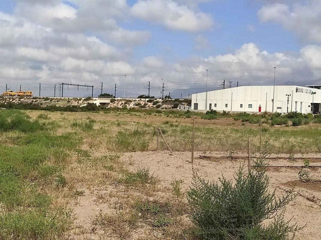 Działka na sprzedaż w Elche / Elx, Alicante photo 3