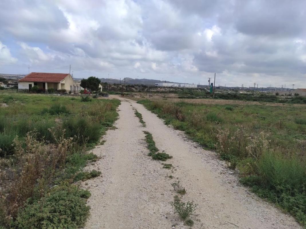 Działka na sprzedaż w Elche / Elx, Alicante photo 4