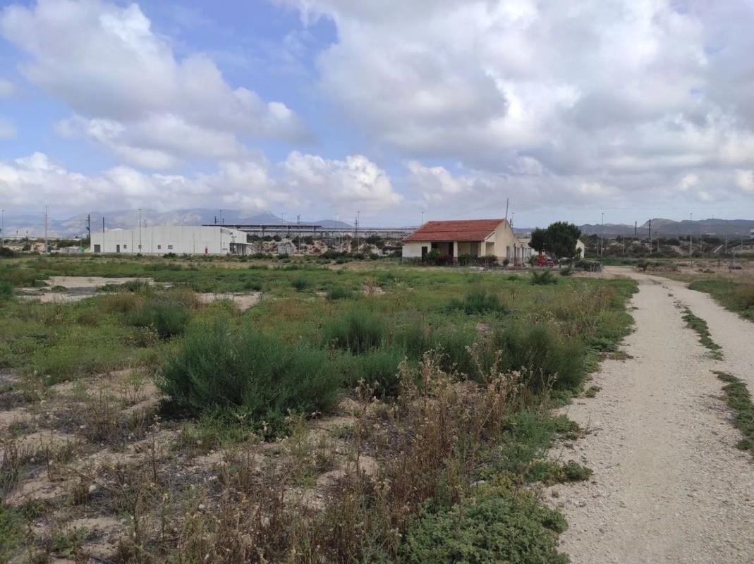 Działka na sprzedaż w Elche / Elx, Alicante photo 5