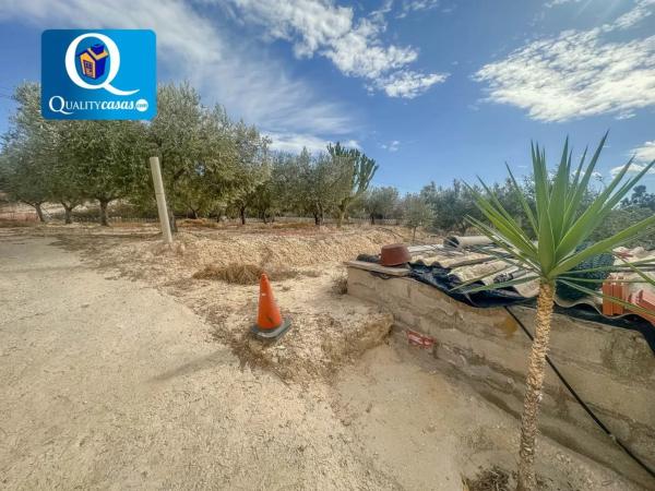 Terreno en Centro photo 4