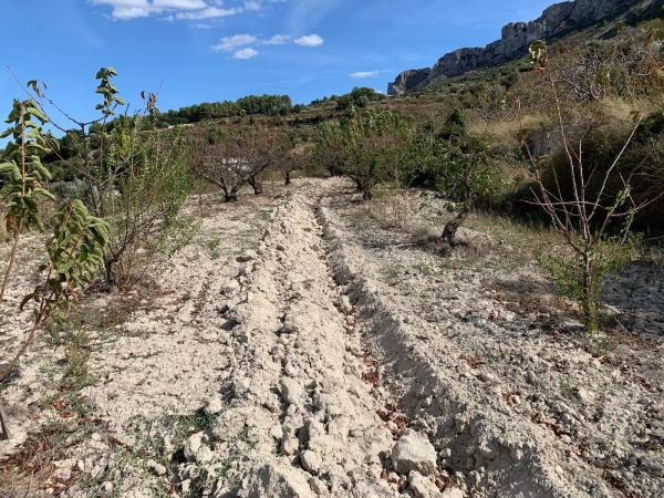Terreno en calle Carretera, 94 photo