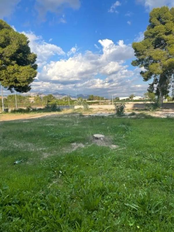 Terreno en venta en Orihuela, Alicante photo 4
