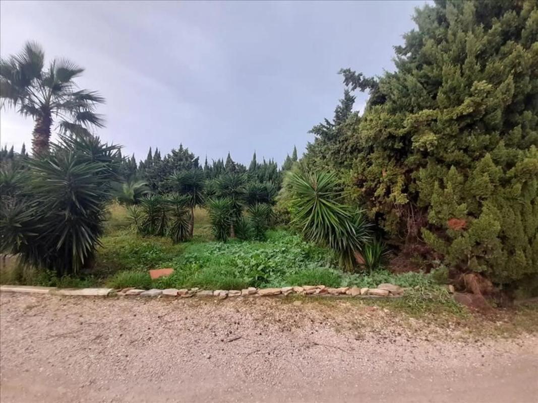 Land for sale in Els Poblets, Alicante photo 2