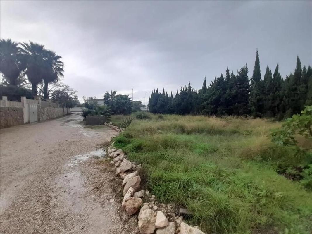 Land for sale in Els Poblets, Alicante photo 3