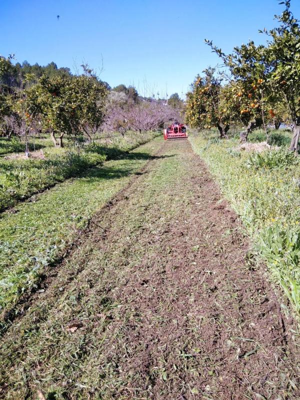 Terreno en venta en Vall de Gallinera, Alicante photo 4
