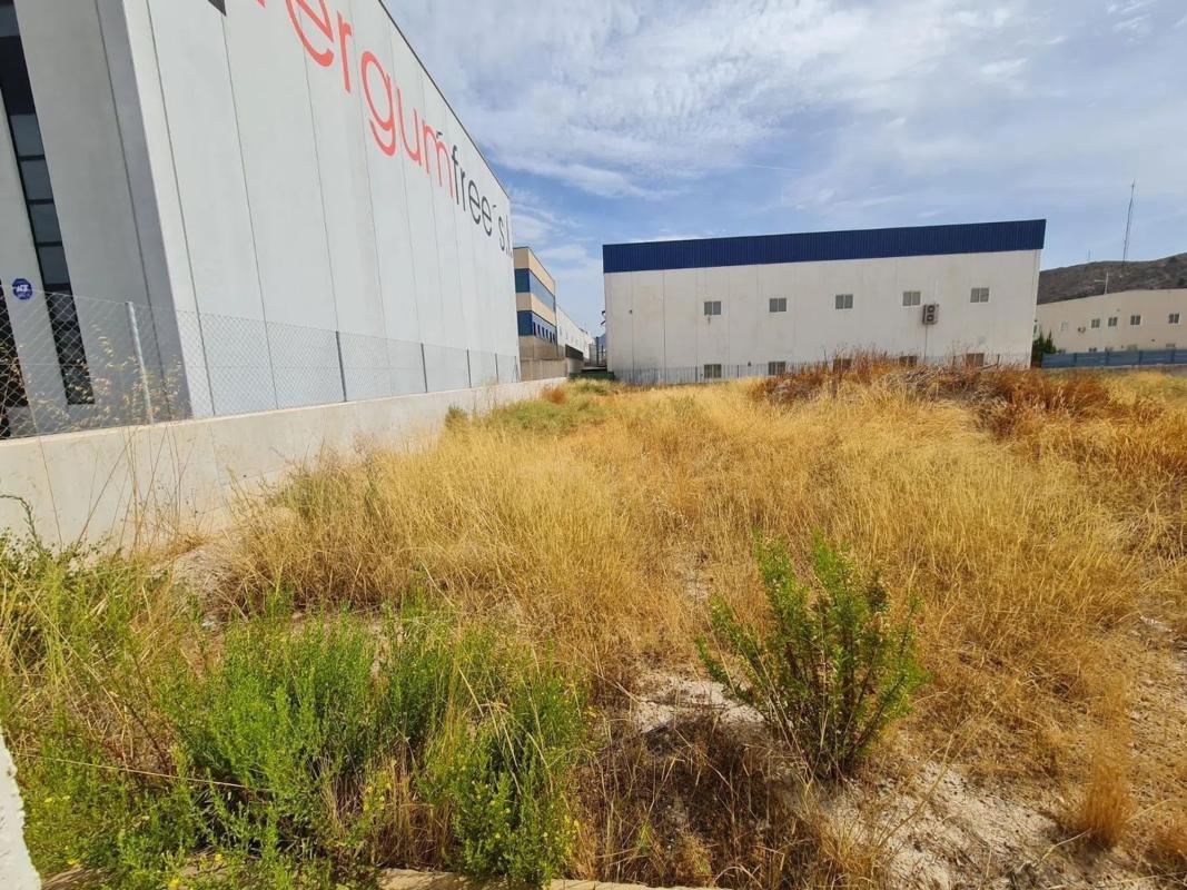 Terreno en venta en Elda, Alicante photo 3