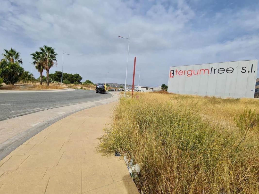 Terreno en venta en Elda, Alicante photo 5