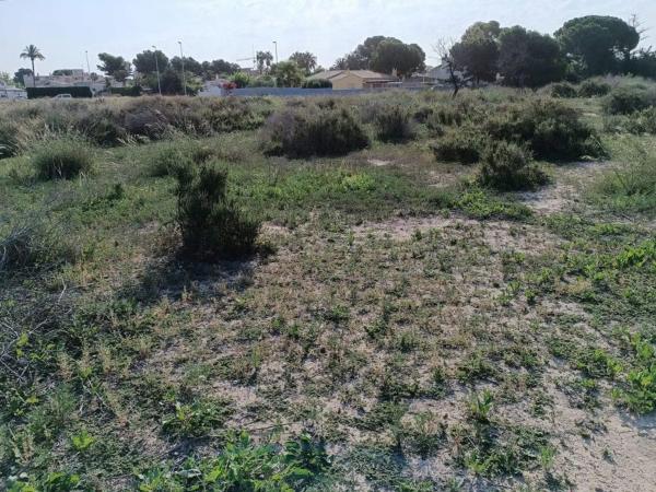 Terreno en calle Tirant Lo Blanc photo 3
