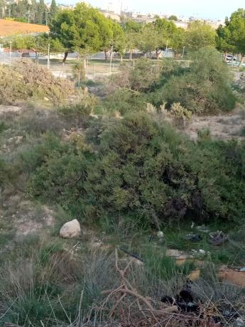 Terreno en Centro photo 1