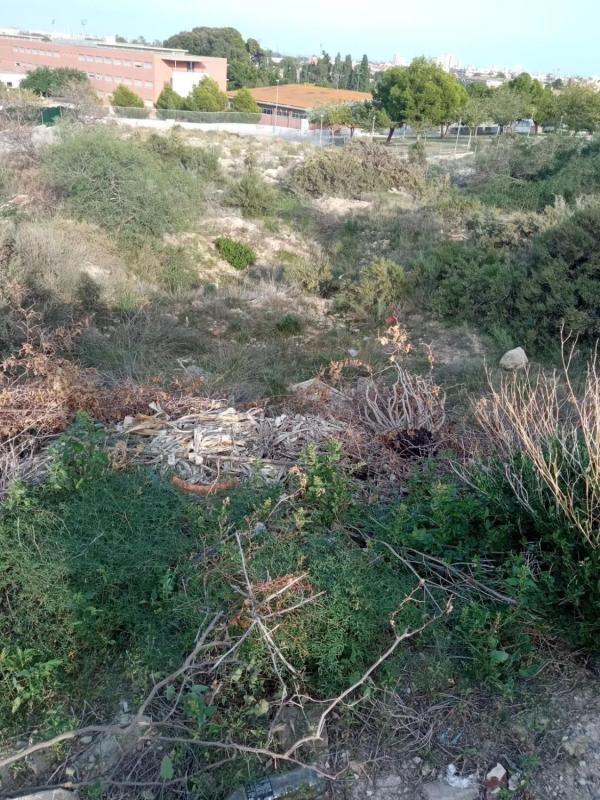 Land for sale in Mutxamel, Alicante photo 3