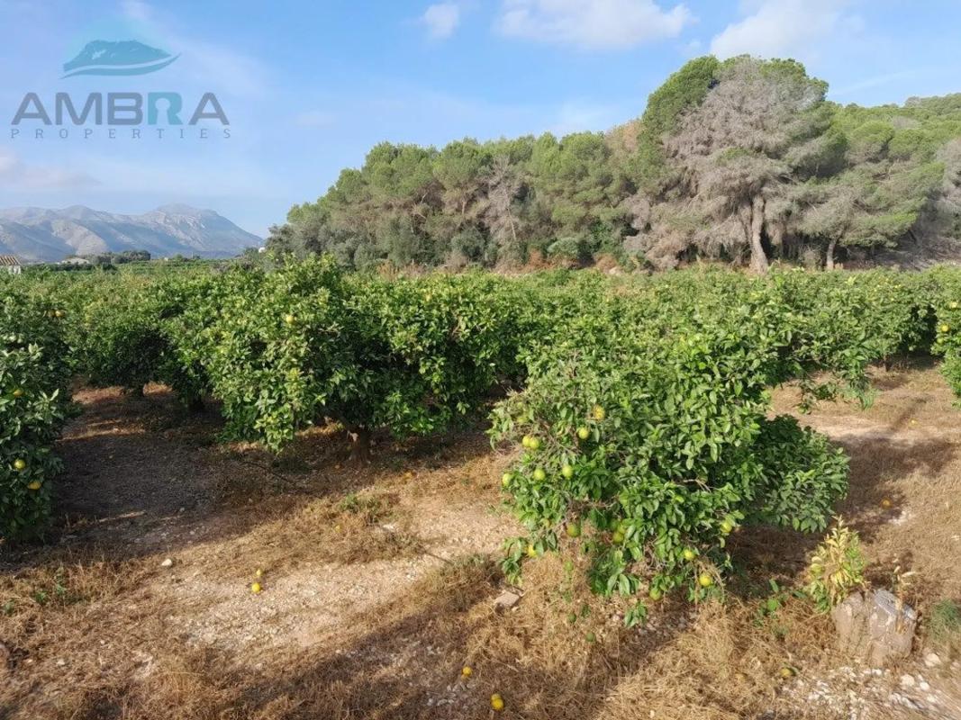 Terreno en venta en Pego, Alicante photo 3