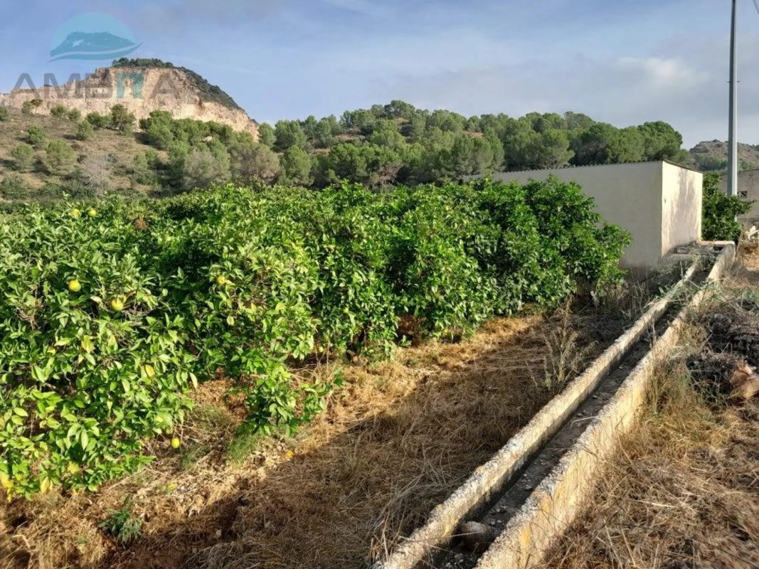 Terreno en venta en Pego, Alicante photo 5