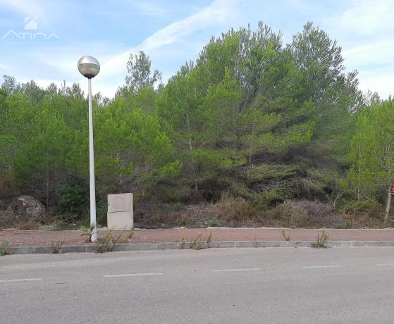 Terreno en Cap Martí - Pinomar thumbnail 2