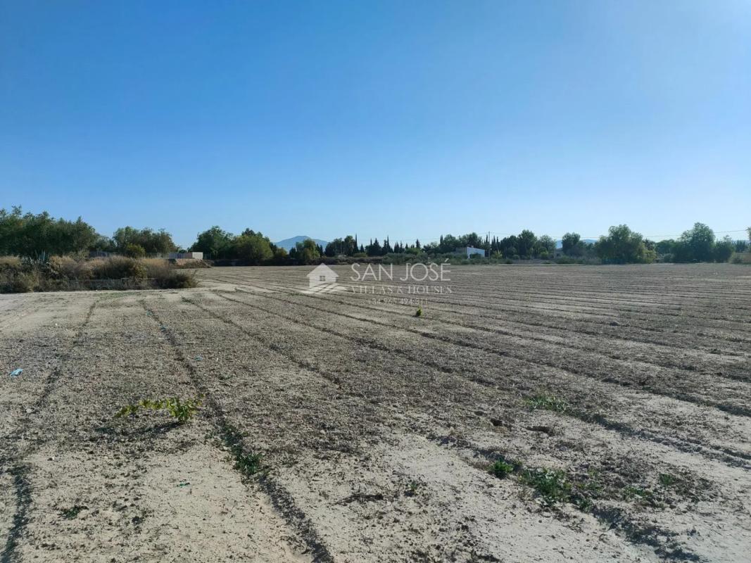 Terreno en venta en Aspe, Alicante photo 1