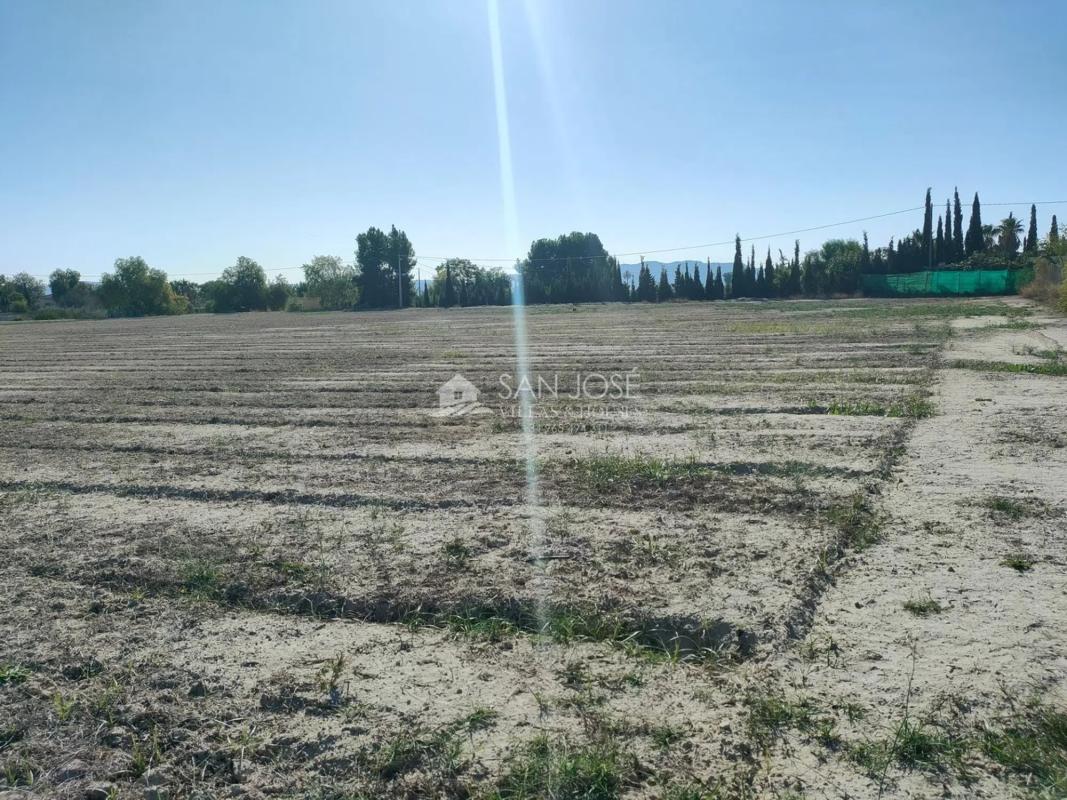 Terreno en venta en Aspe, Alicante photo 3