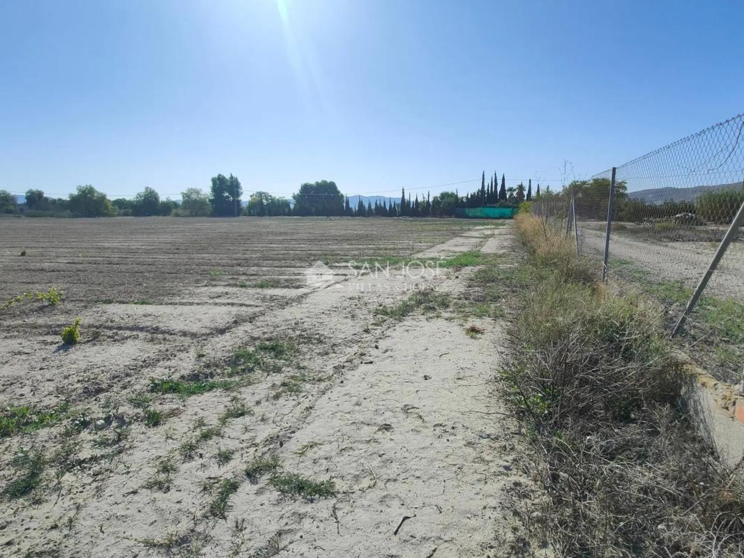 Terreno en venta en Aspe, Alicante photo 4