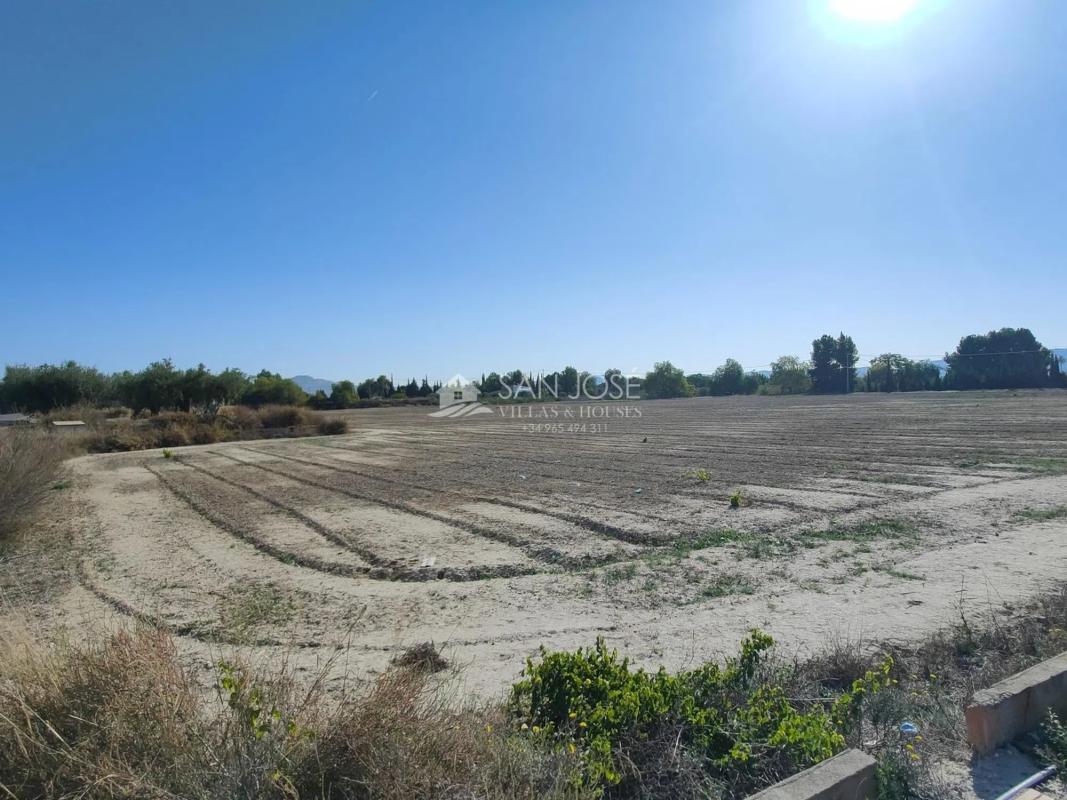 Terreno en venta en Aspe, Alicante photo 5