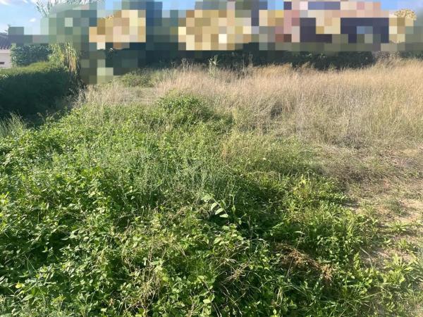 Terreno en Urbanización Finca Terol thumbnail 1