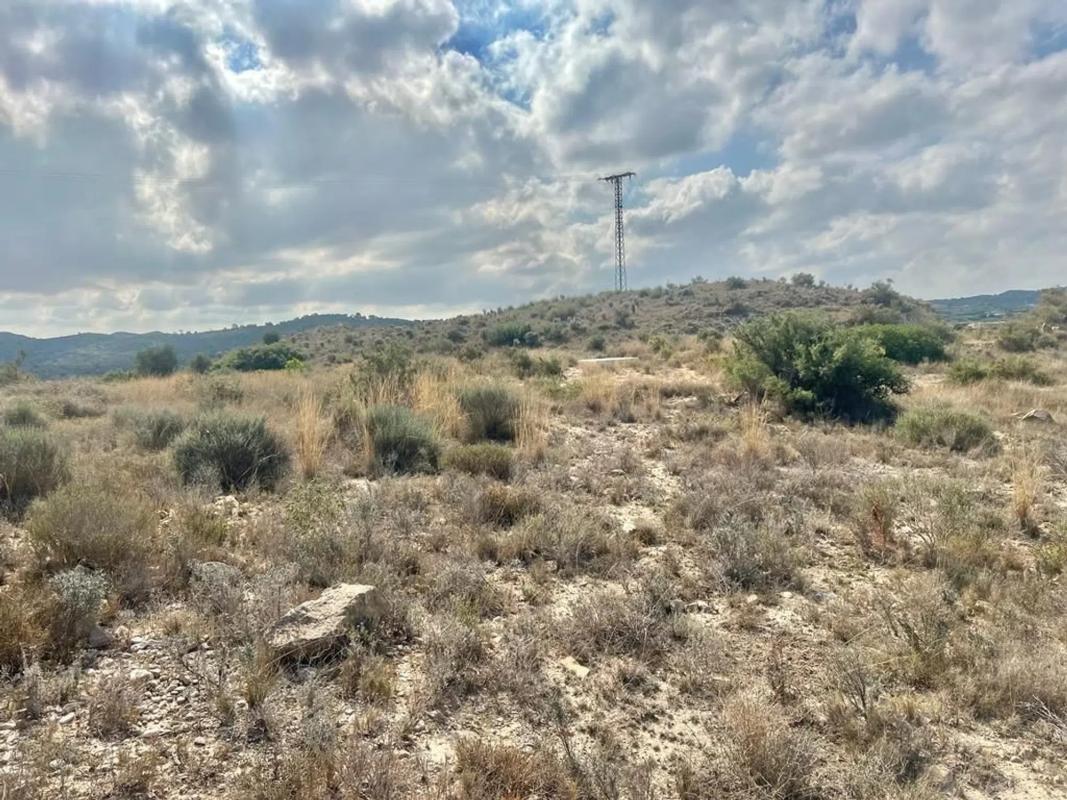 Terreno en venta en Aspe, Alicante photo 1