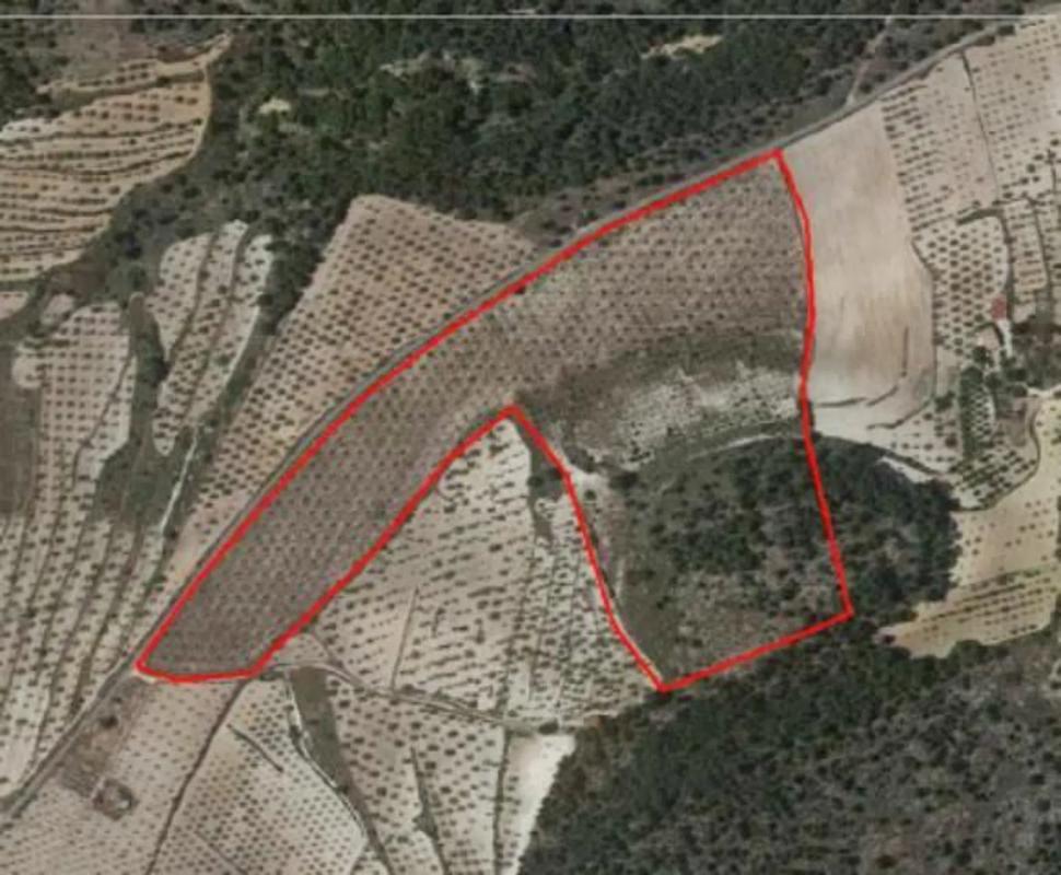Terreno en venta en Biar, Alicante photo 2
