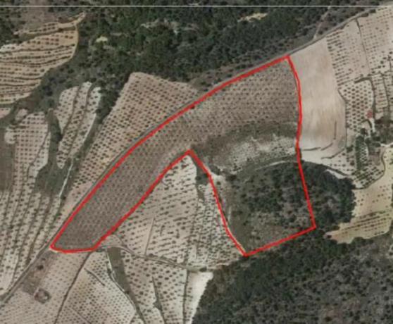 Terreno en Biar photo 2