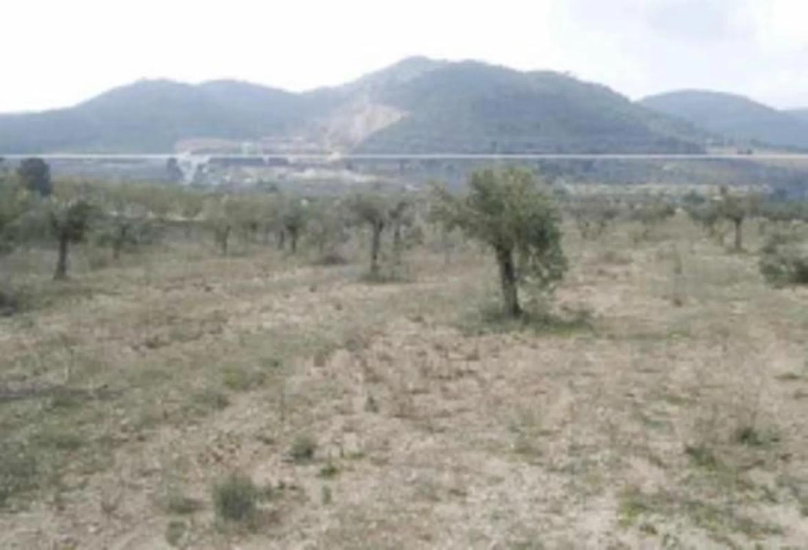 Terreno en venta en Biar, Alicante photo 3