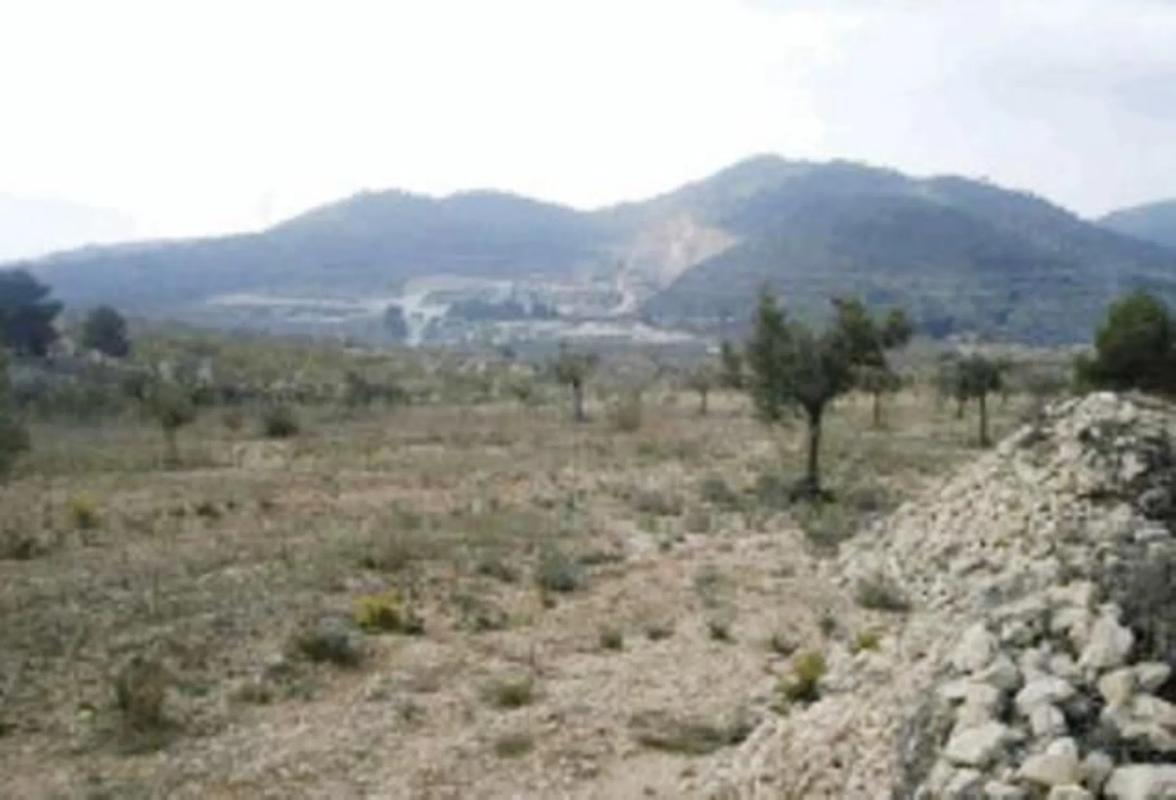 Terreno en venta en Biar, Alicante photo 4
