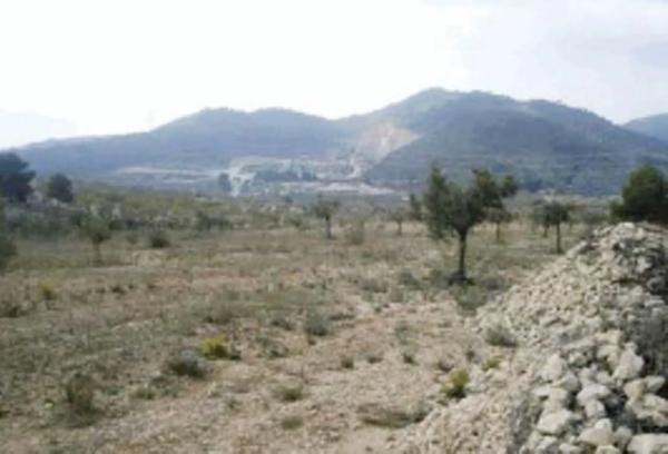 Terreno en Biar photo 4